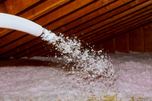 Best Specialized Insulation Services in Biddeford, ME
