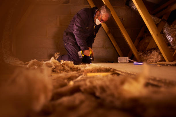Best Geographic-Specific Insulation Services in Biddeford, ME